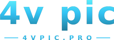 4v pic logo